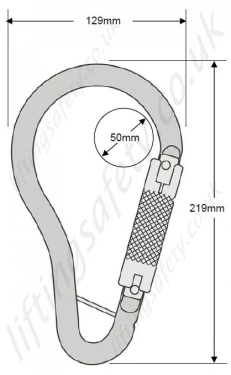 Protecta Scaffold Hook Connector 50mm Opening