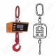Motorman Crane Weighers and Load Indicators Motorman Crane Weighers and Load Indicators