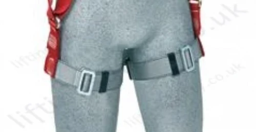 Standard Buckles