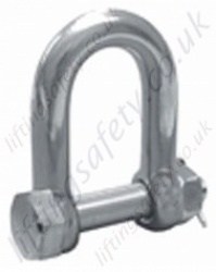 Stainless Safety Pin D Shackle