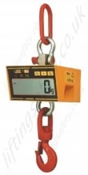 Electric Autonomous Weighing Hook
