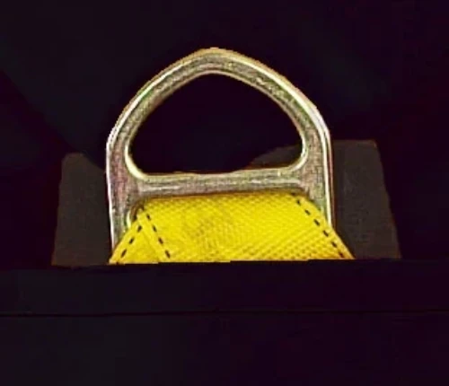 Rear Fall Arrest Anchorahe D Ring