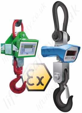 LiftingSafety Load Indicators and Crane Weighers
