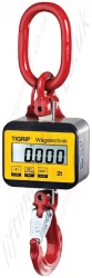 Crane Weighers and Load Indicators 1 - 25 tonnes