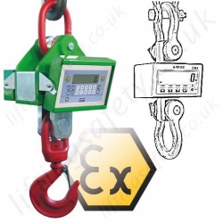 LiftingSafety Load Indicators and Crane Weighers LiftingSafety Load Indicators and Crane Weighers