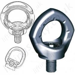 Stainless Steel Lifting Eyebolts and Lifting Eyenuts Stainless Steel Lifting Eyebolts and Lifting Eyenuts