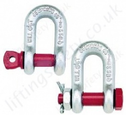 US Fed Spec Alloy Steel Dee Shackles (D shackles)