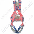Miller AGU 300 Harness - S, M and L