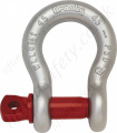 Crosby G209 Screw Pin Bow Shackles (Omega Shackles) - Lifting capacities from 330kg to 55000kg