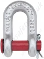 Crosby G/S-215 Round Pin Chain Lifting D Shackles with Split Pin