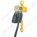 Yale "CPA" Compressed Air Hoist with Pendant Control - Range from 125kg to 10,000kg