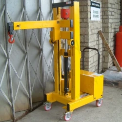 Jib Rasied by Hydraulics