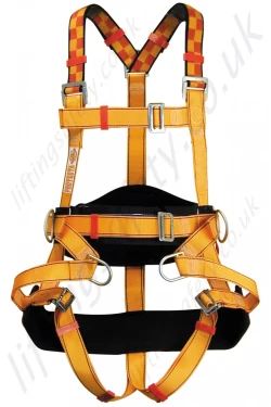 Protecta "Tree Surgeons" Fall Arrest Harness with Front and Rear 'D' Rings & Work Positioning Belt.