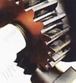 Tractel CAROL Worm gear