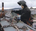 Chain hoist by Ingersoll Rand