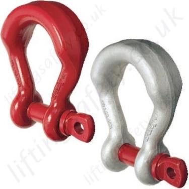 WLL 1021673 G-2169 Screw PIN Wide Body Shackle GALV