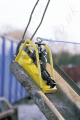 Camlok "CP" Pile Pitching Clamp - Range from 2000kg to 5000kg