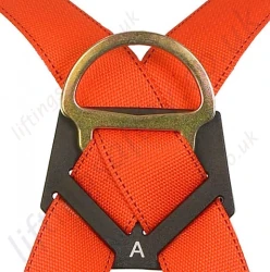 Rear Fall Arrest Anchorahe D Ring