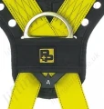 Rear Fall Arrest Anchorahe D Ring