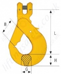Container Hook BKGC Dimensions