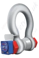 Straightpoint Wireless Load Shackle