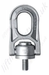 Cromox CDAW Stainless Steel Swivel Lifting Points