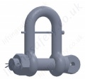 AISI 316 Stainless Steel Safety Pin Dee Shackle with Captivating Locking Pin, WLL 1000kg to 5000kg