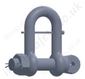 Stainless Steel Safety Pin Dee Shackle With Captivating Locking Pin