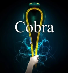 "Cobra" Compact Round Lifting Slings (endless lifting slings). Conforms to BS EN 1492-2 - Range from 1000kg to 5,000kg. 