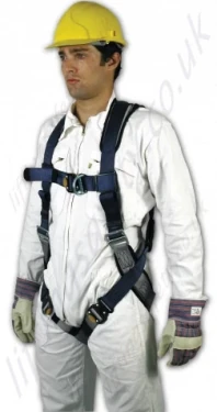 SALA "ExoFit" 2 Point Fall Arrest Harness, Size: S to L