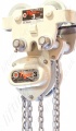 Tiger Corrosion Resistant Chain Hoist and Push Trolley Combination - Range: 500kg to 5000kg