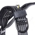 Rescue Strap