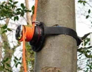 200kg Rigging Winch Tree Mounted With Ratchet Strap 200kg Rigging Winch Tree Mounted With Ratchet Strap