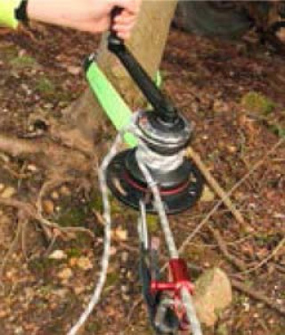 Rigger Winch 200 Anchored To A Tree