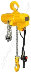 Tiger Penumatic Hoist With Pendant Control