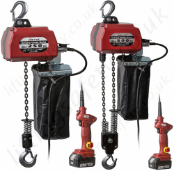 Delta Battery Powered Electric Chain Hoist - 250kg or 500kg Options