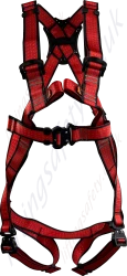 Two point fall arrest safety harness made from anti-static webbing that is designed specifically for use in potentially explosive atmospheres.