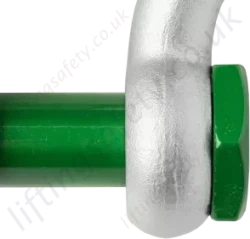 Low Profile Bolt Head